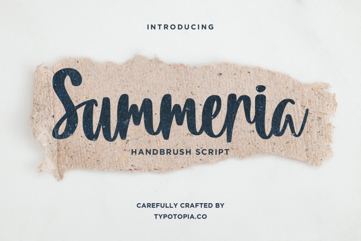 Summeria Handbrush Script Fonts Font Download