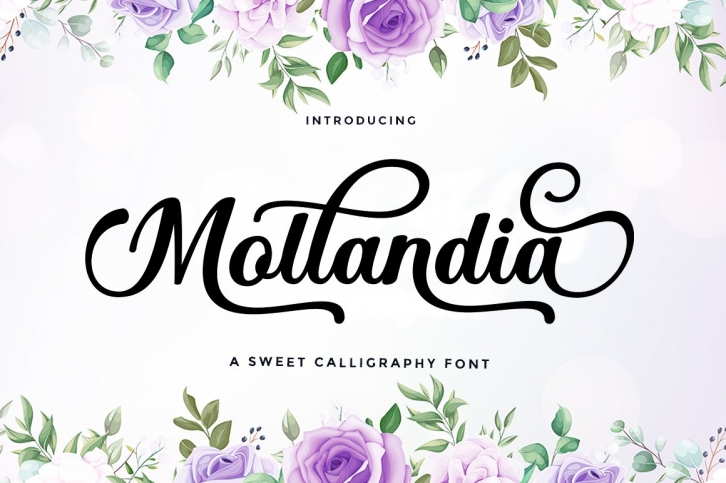 Mollandia Font Download