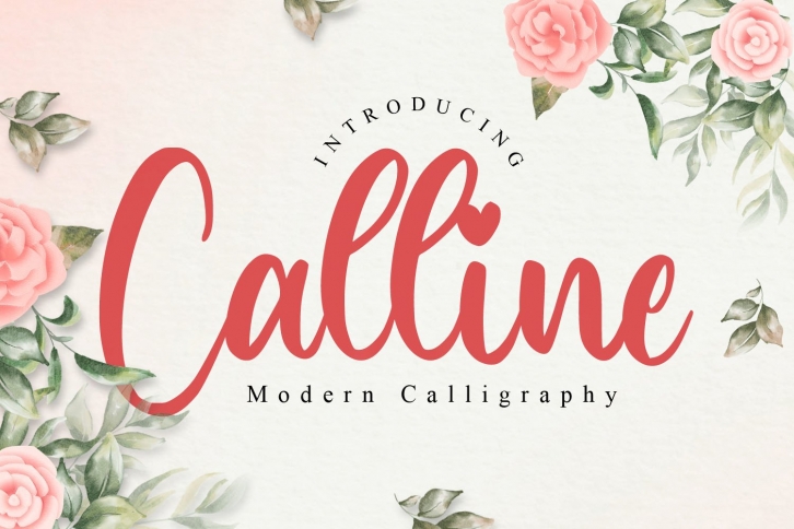 Calline Script Font Download
