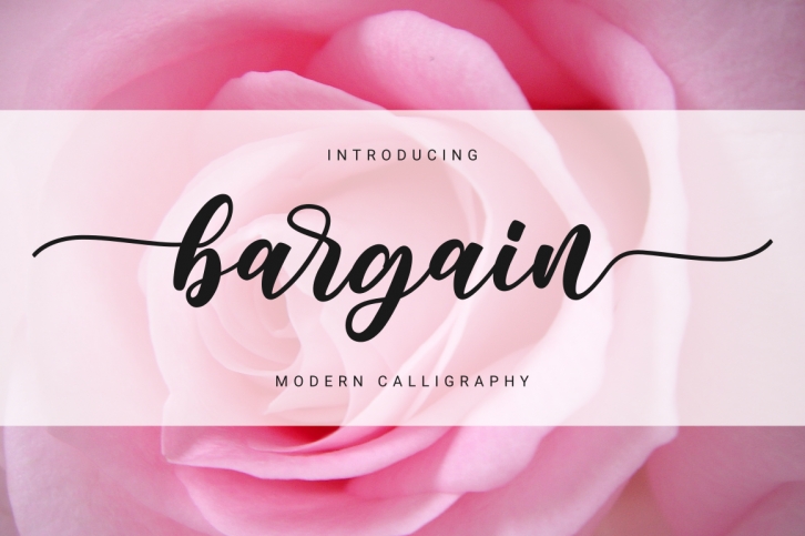 Bargain Font Download