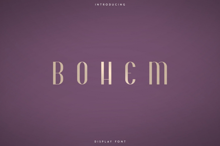 Bohem - Display font | 2 styles Font Download