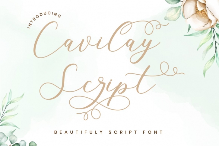 Cavilay Script - Wedding Font Font Download