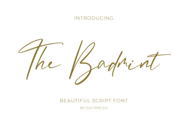 The Badmint Font Download