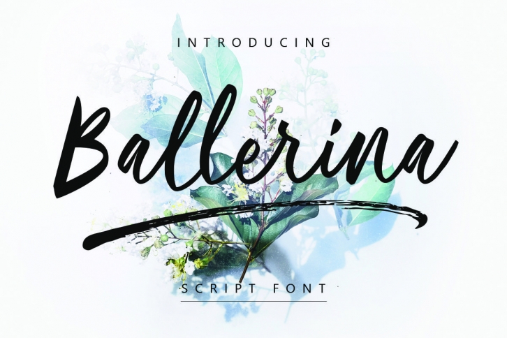 Ballerina | Script Font Font Download