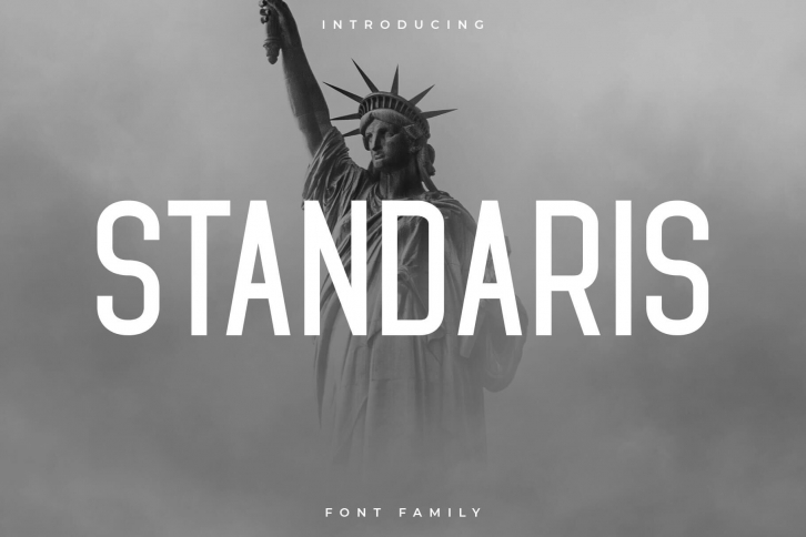 Standaris Font Family - Sans Serif Font Download