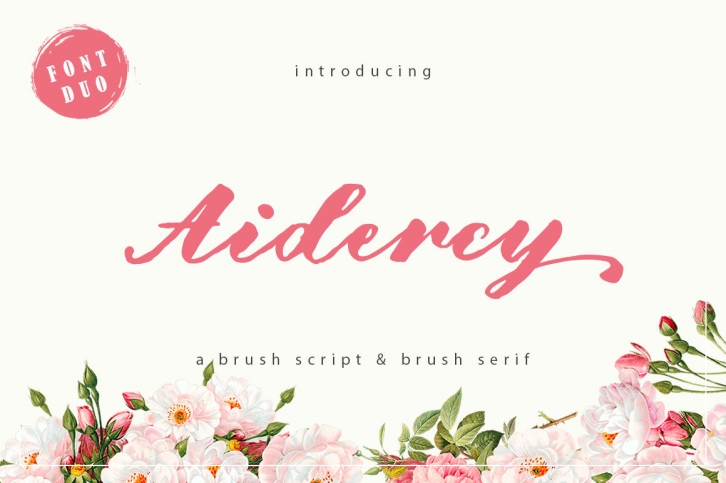 Aidercy Brush // Font Duo Font Download