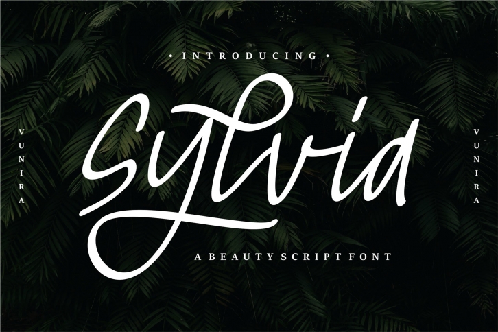 Sylvia | Beauty Script Font Font Download
