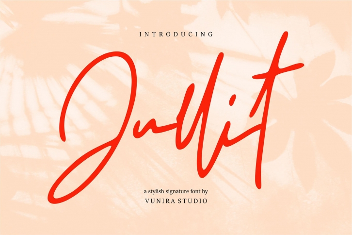 Jullit | Stylish Signature Font Font Download