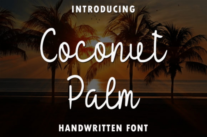 Coconut Palm Font Download