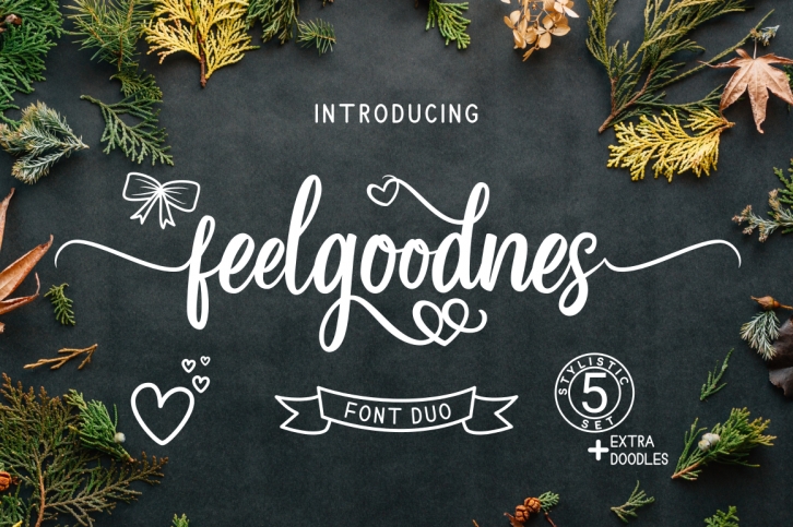 Feelgoodnes Font Duo Font Download
