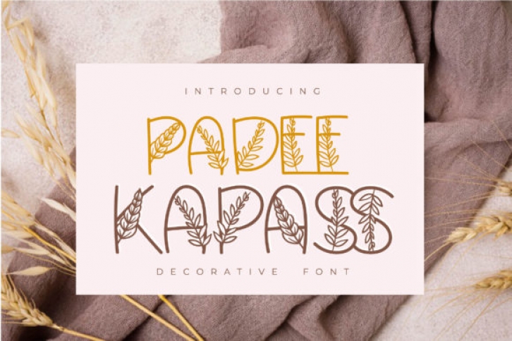 Padee Kapass Font Download