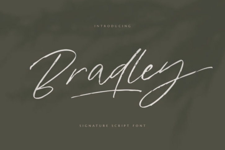 Bradley Font Download