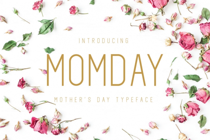MOMDAY Font Download