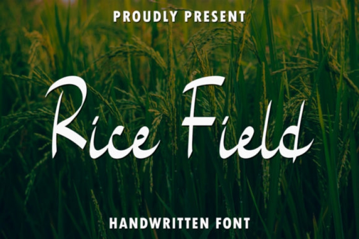Rice Field Font Download