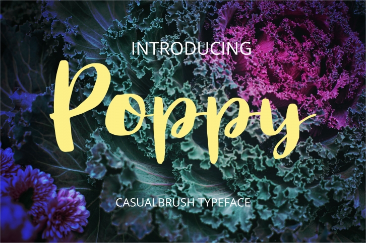 Poppy Font Download