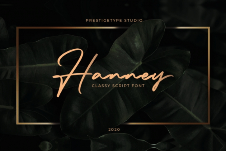 Hanney Font Download