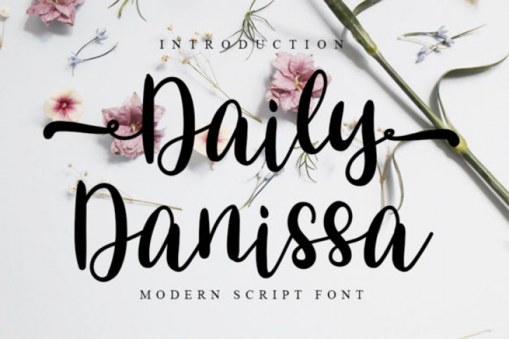 Daily Danissa Font Download