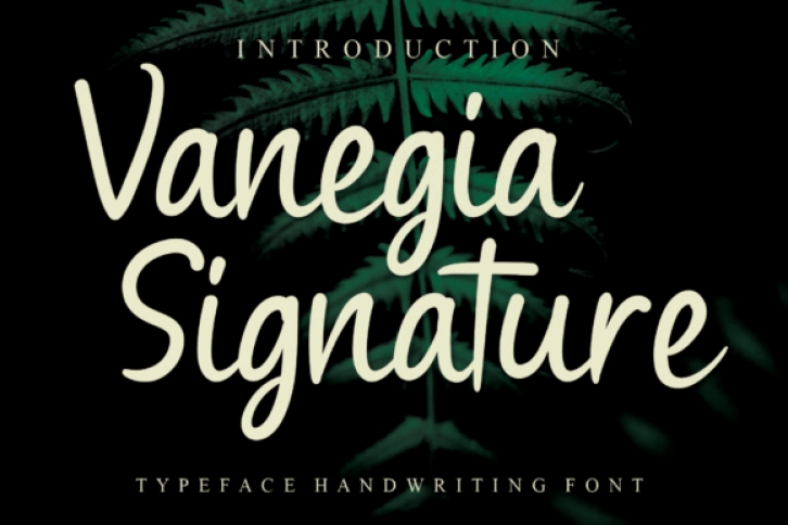 Vanegia Signature Font Download