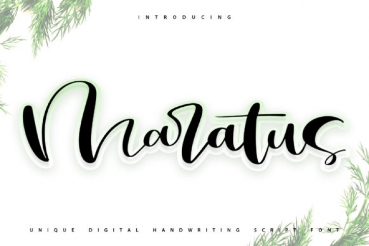 Maratus Font Download