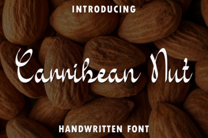 Carribean Nut Font Download