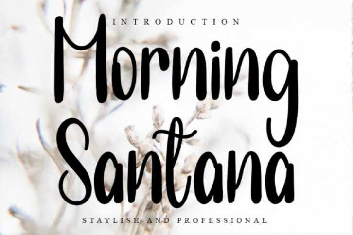 Morning Santana Font Download