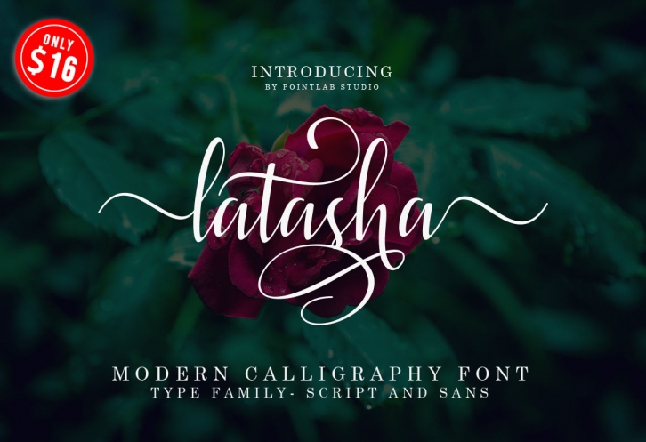 Latasha Font Family - 6 Font Font Download