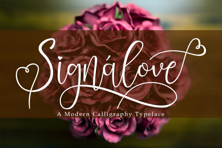 Signalove Font Download