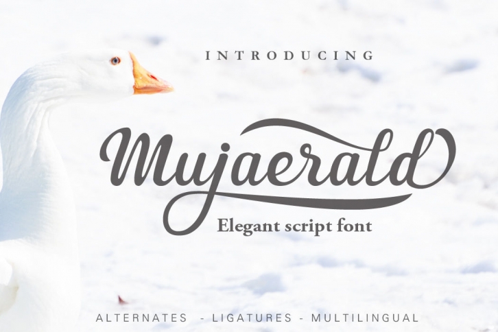 Mujaerald Font Font Download