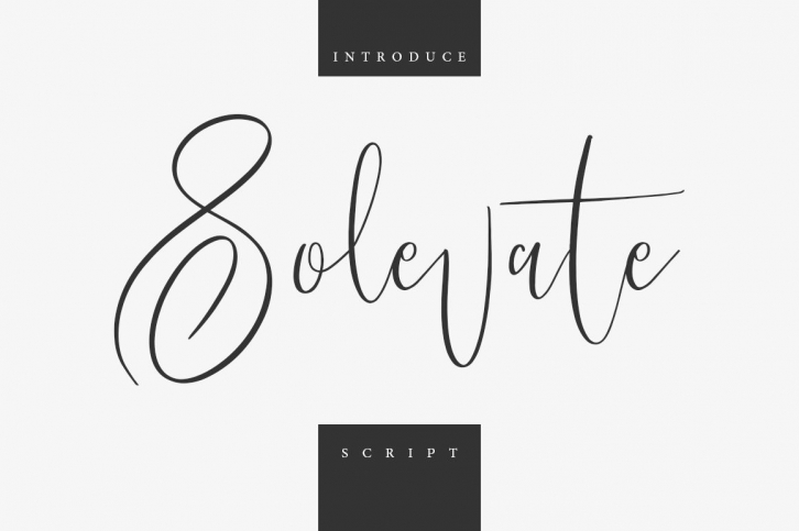 Solevate Typeface Font Download