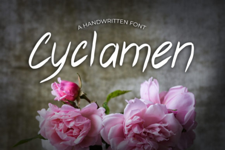 Cyclamen Font Download