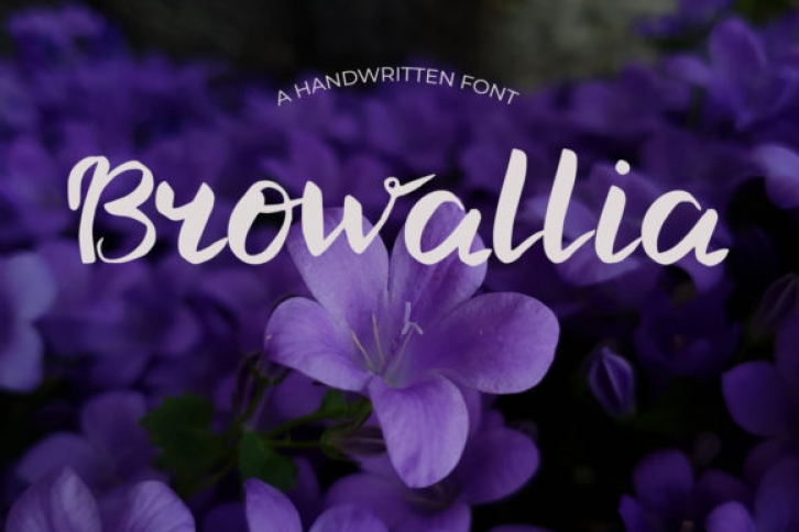 Browallia Font Download