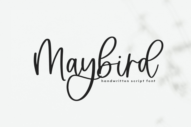 Maybird - Handwritten Script Font Font Download