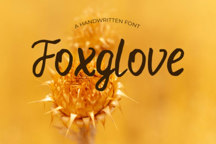 Foxglove Font Download
