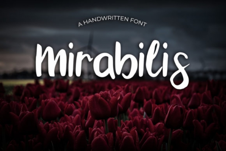 Mirabilis Font Download