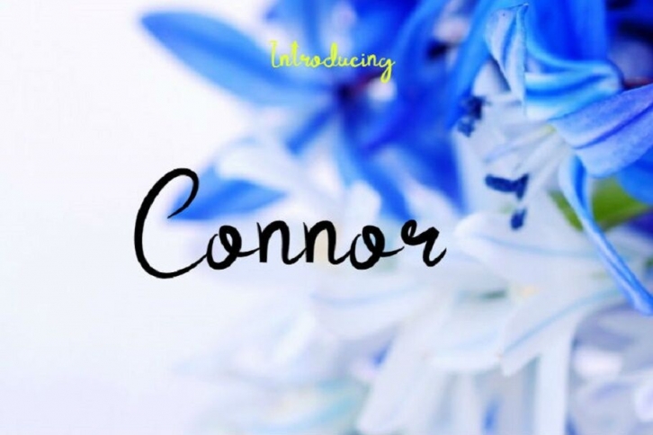 Connor Font Download