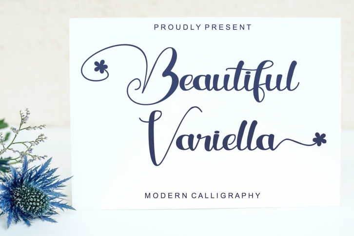 Beautiful Variella - Modern Calligraphy Font Font Download