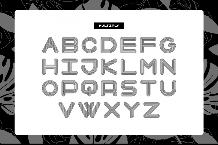 Season Sans - 4 weights Font Download