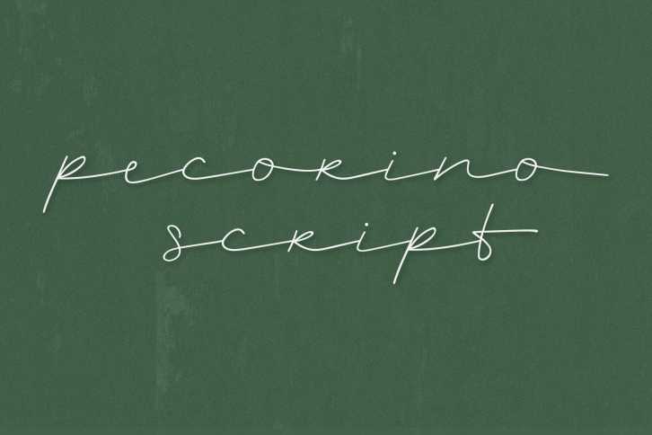 Pecorino Script Font Download