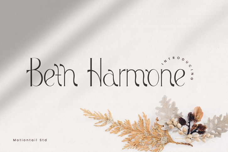Beth Harmone-Modern Serif Font Download