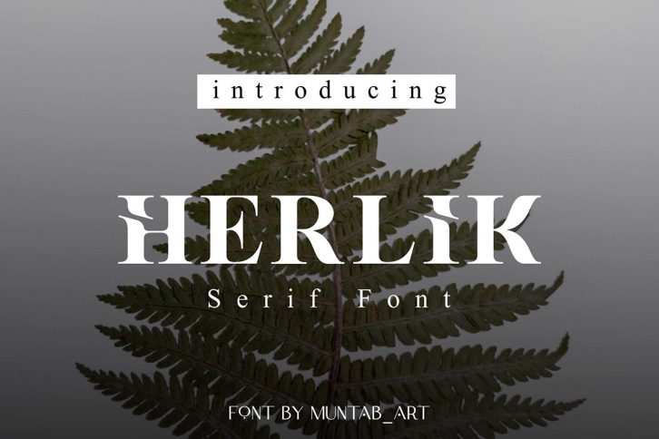 Herlik | Modern Serif Font Font Download