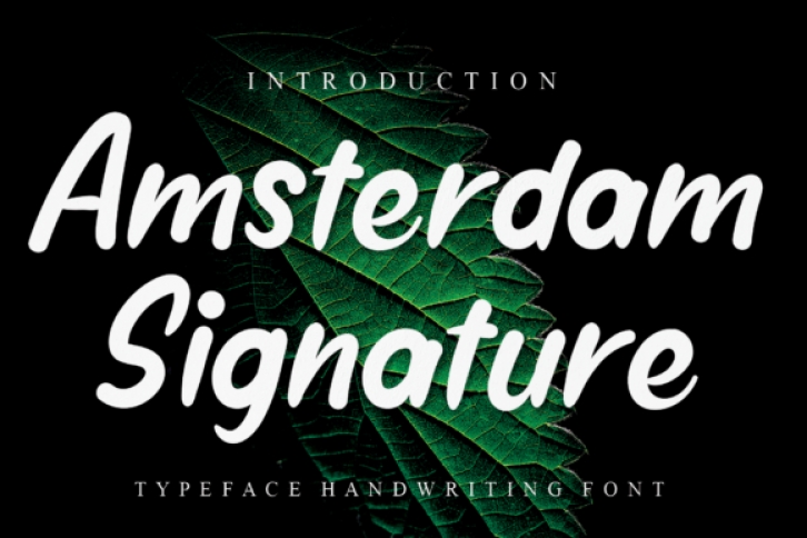 Amsterdam Signature Font Download