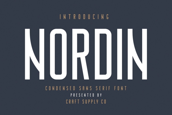 Nordin - Condensed Sans Serif Font Font Download