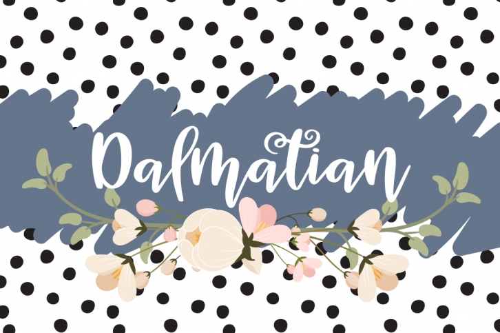 Dalmatian - A modern hand lettered bouncy script font Font Download