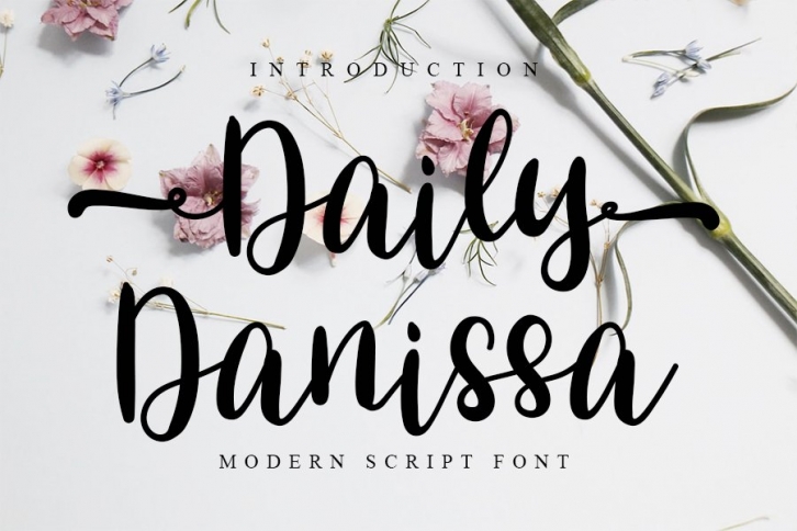 Daily Danissa - Modern Script Font Font Download