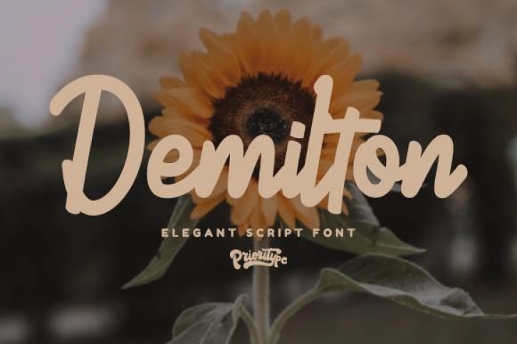 Demilton Font Download