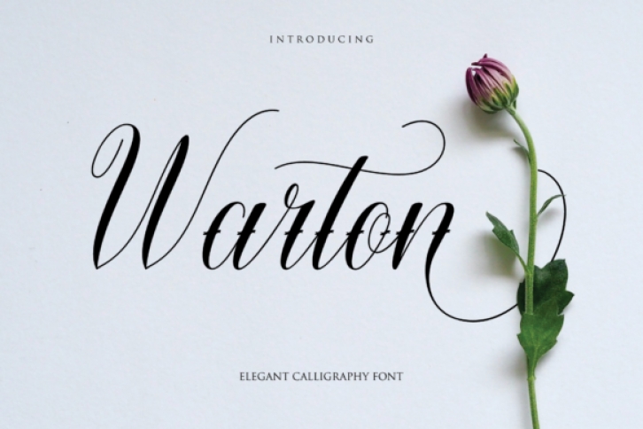 Warton Font Download