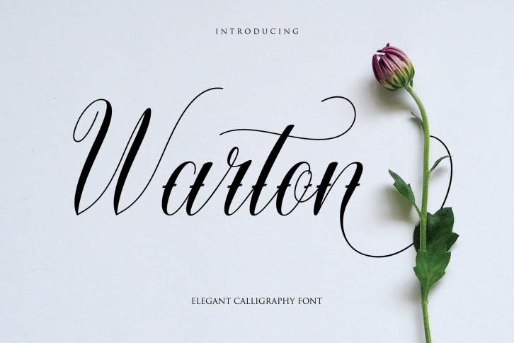 Warton - Elegant Calligraphy font Font Download