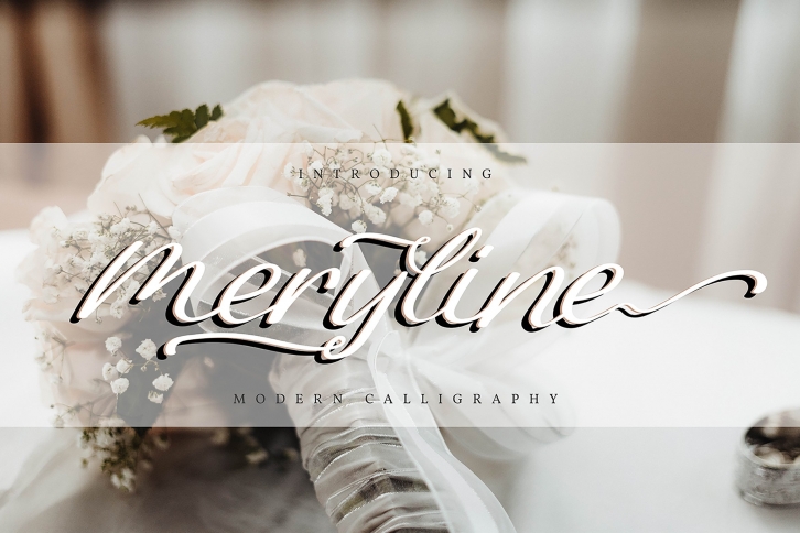 Meryline | Modern Calligraphy Font Download