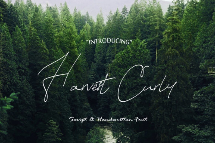 Harvest Curly Font Download