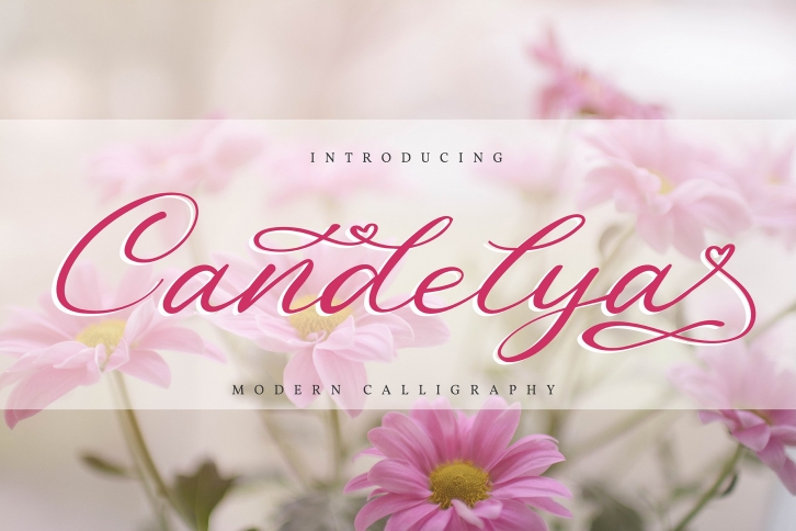 Candelya | Modern Calligraphy Font Download